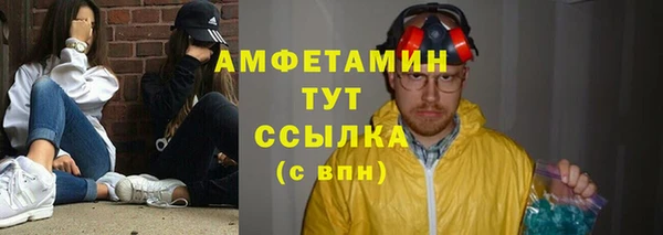 мдпв Елабуга