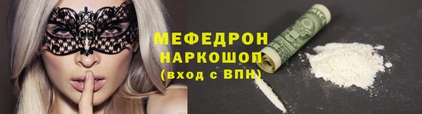 мдпв Елабуга