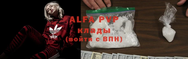 мдпв Елабуга