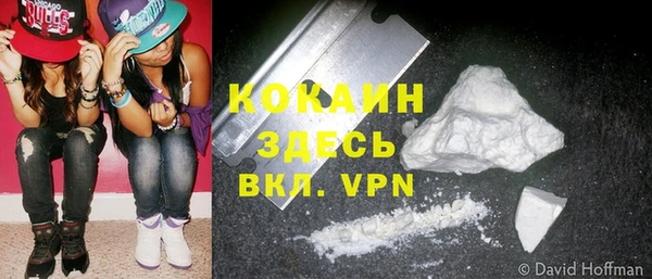 мдпв Елабуга