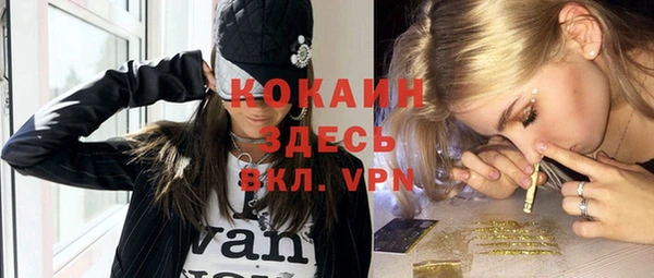 мдпв Елабуга