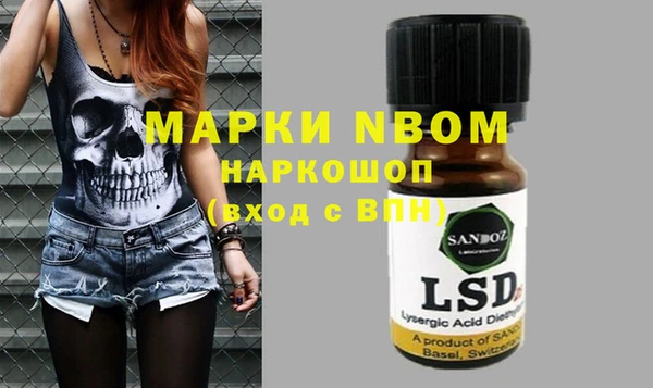 мдпв Елабуга
